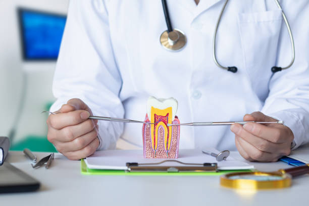 Best Emergency Care for Gum Disease in Benton, IL